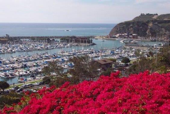 Dana Point Marina Inn — photo 4