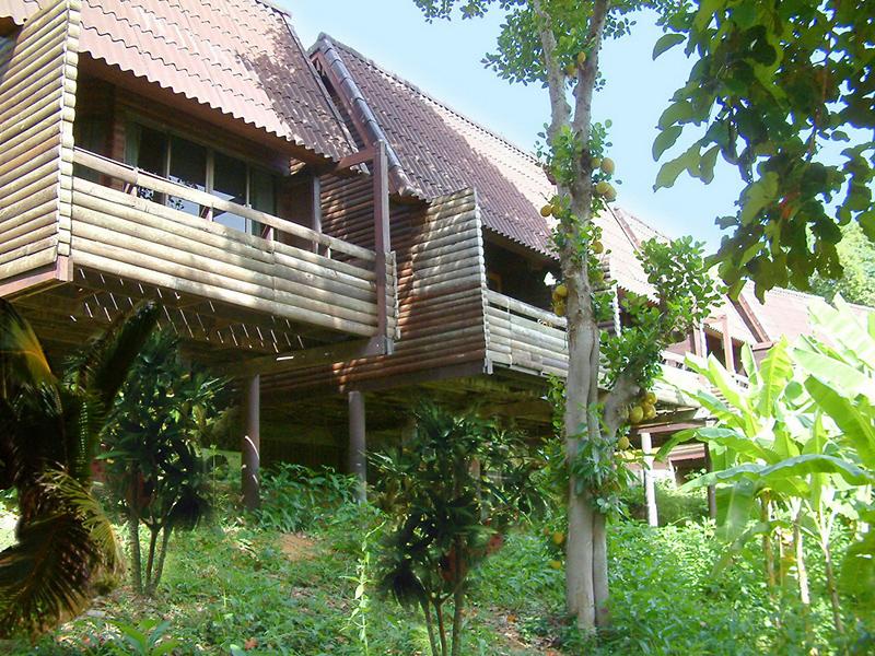 Phi Phi Natural Resort — photo 3