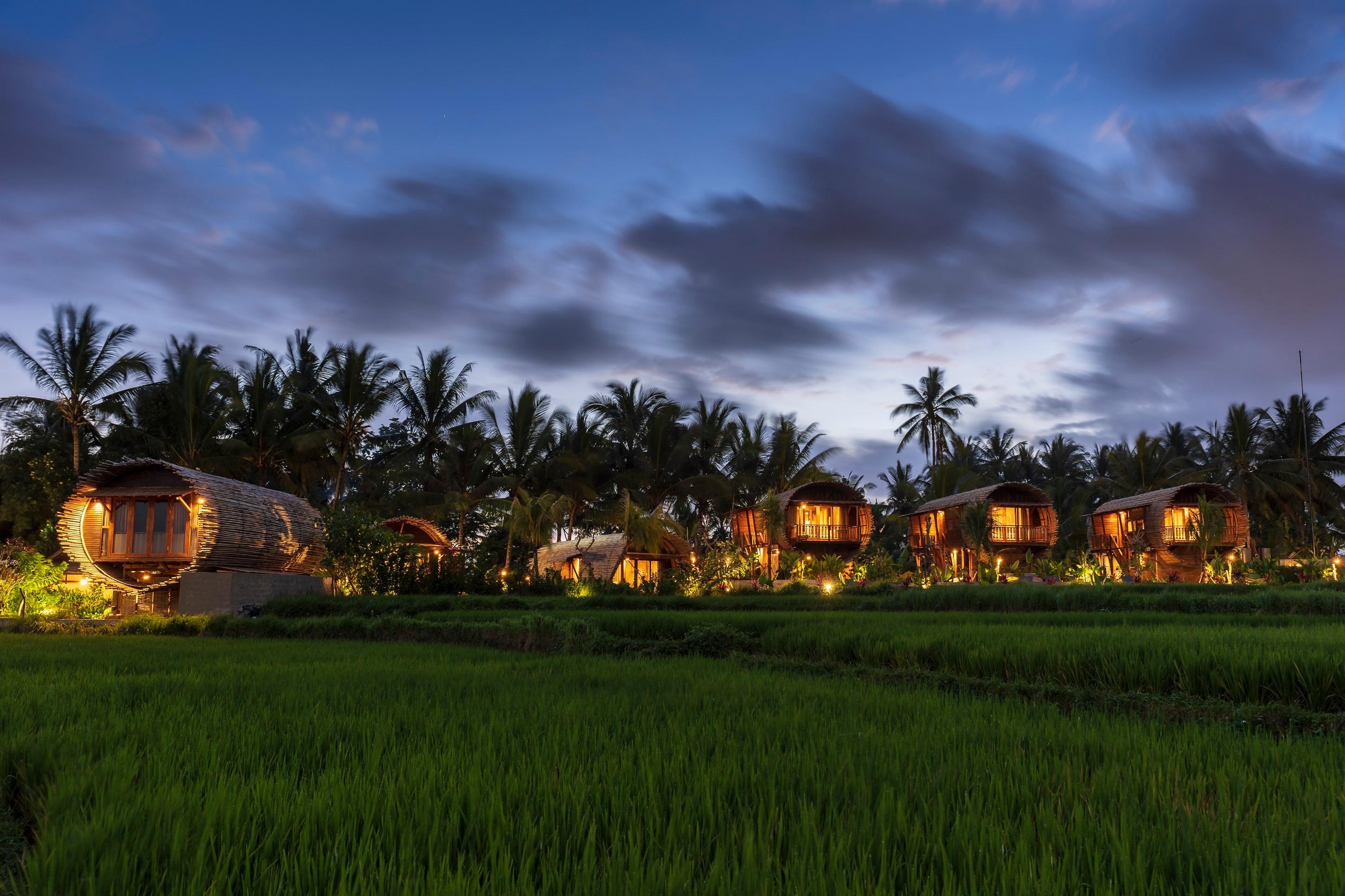 Beehouse Dijiwa Ubud — photo 4