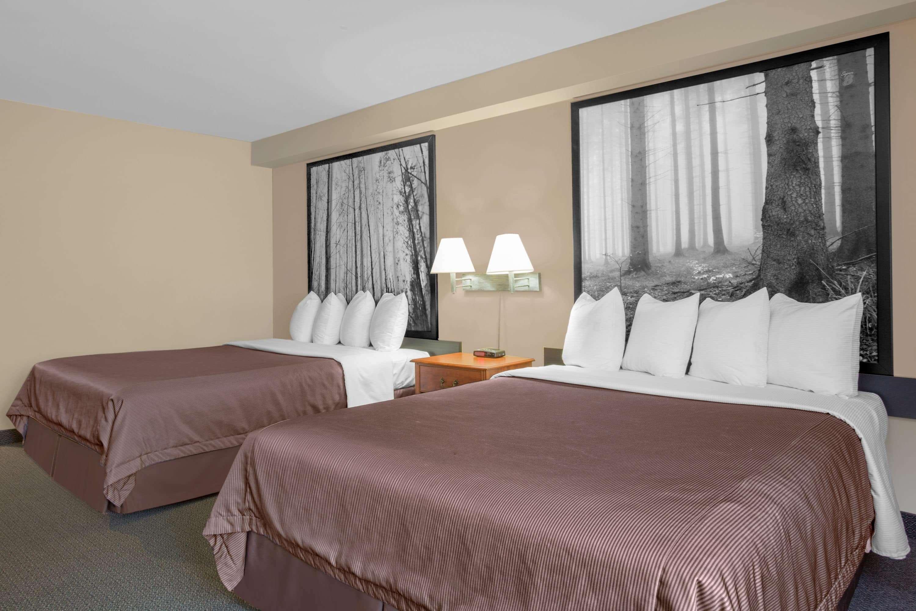 Super 8 by Wyndham Sault Ste Marie On — photo 4