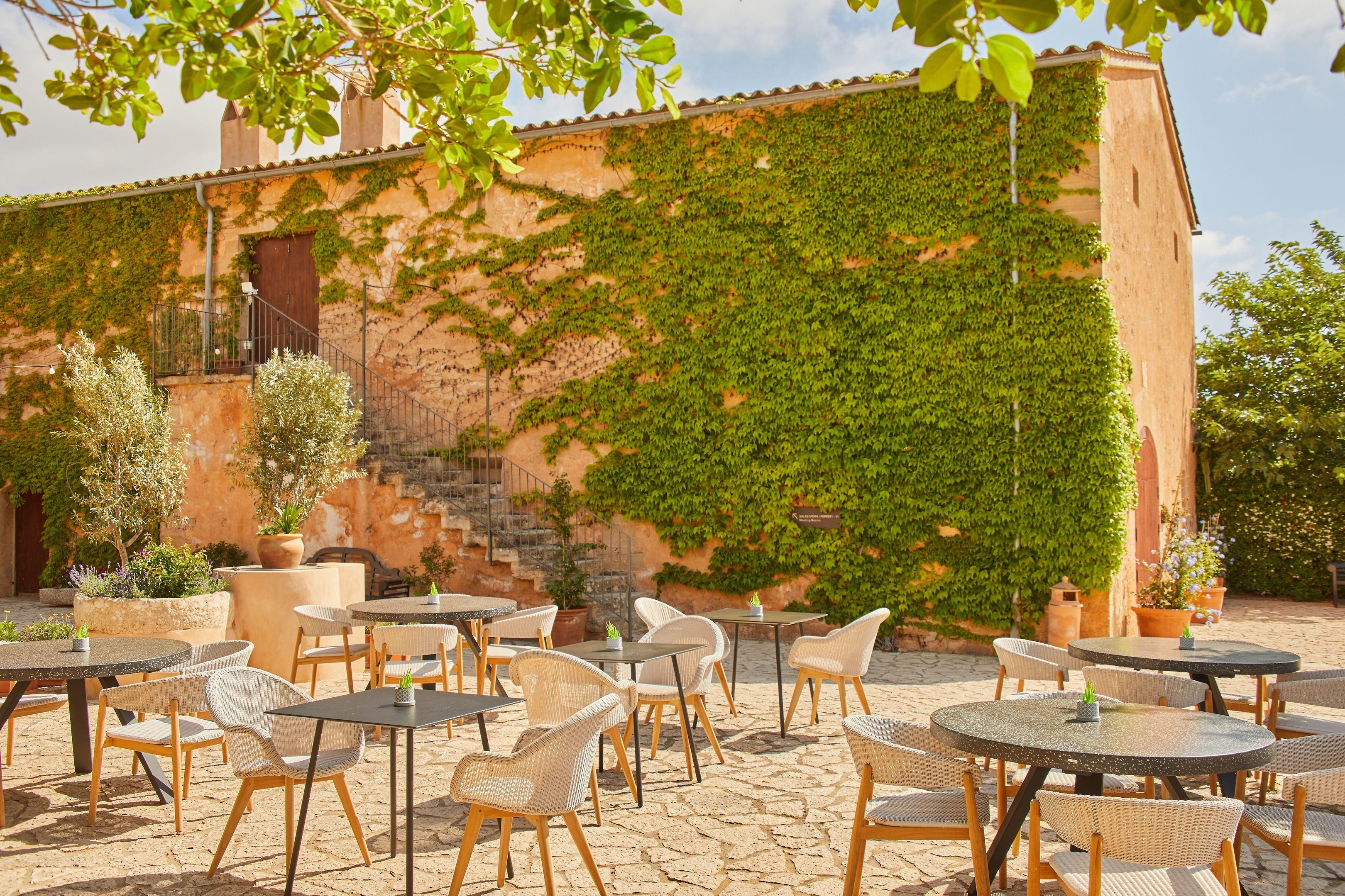 Zoetry Mallorca — photo 3