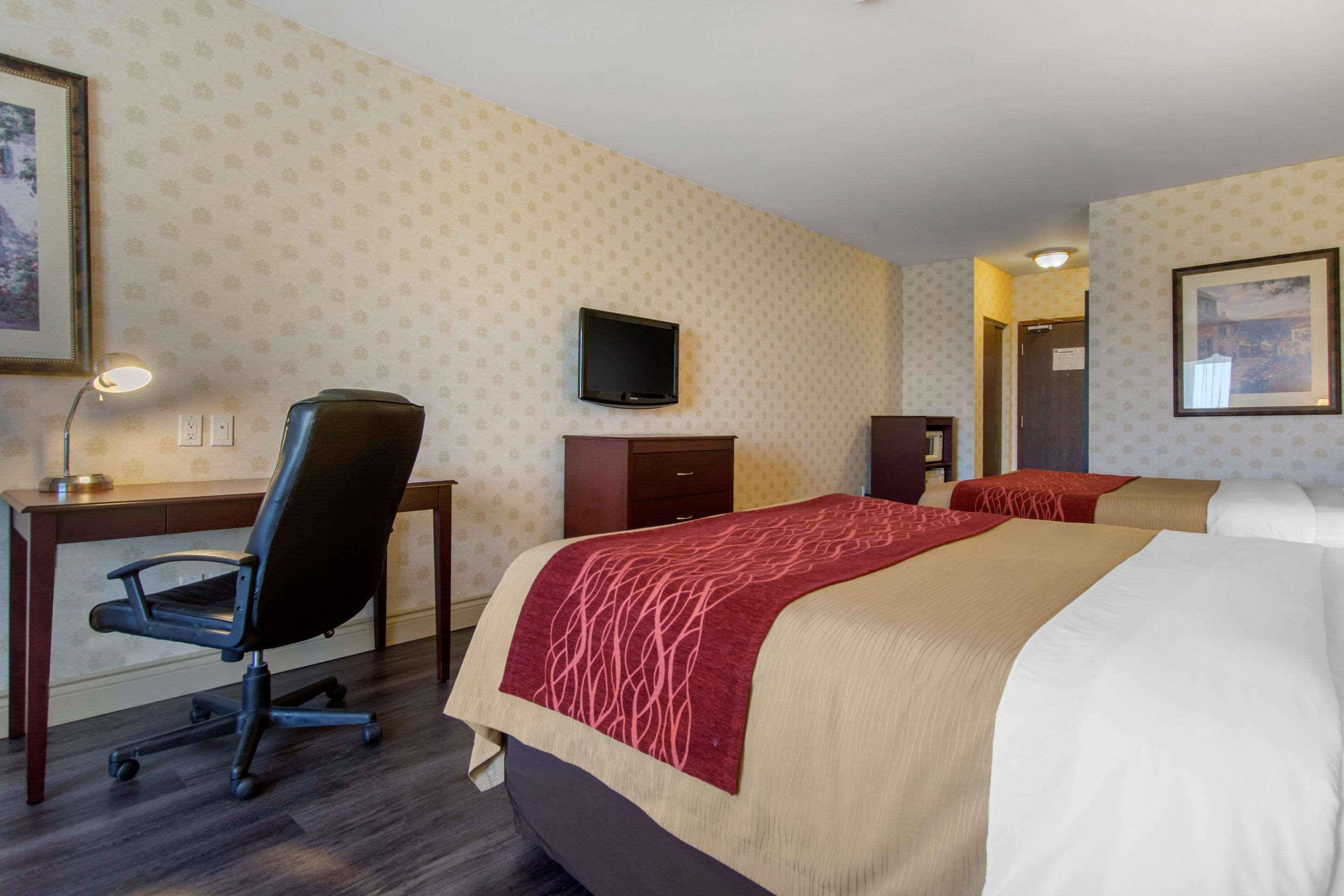 Comfort Inn & Suites — photo 5