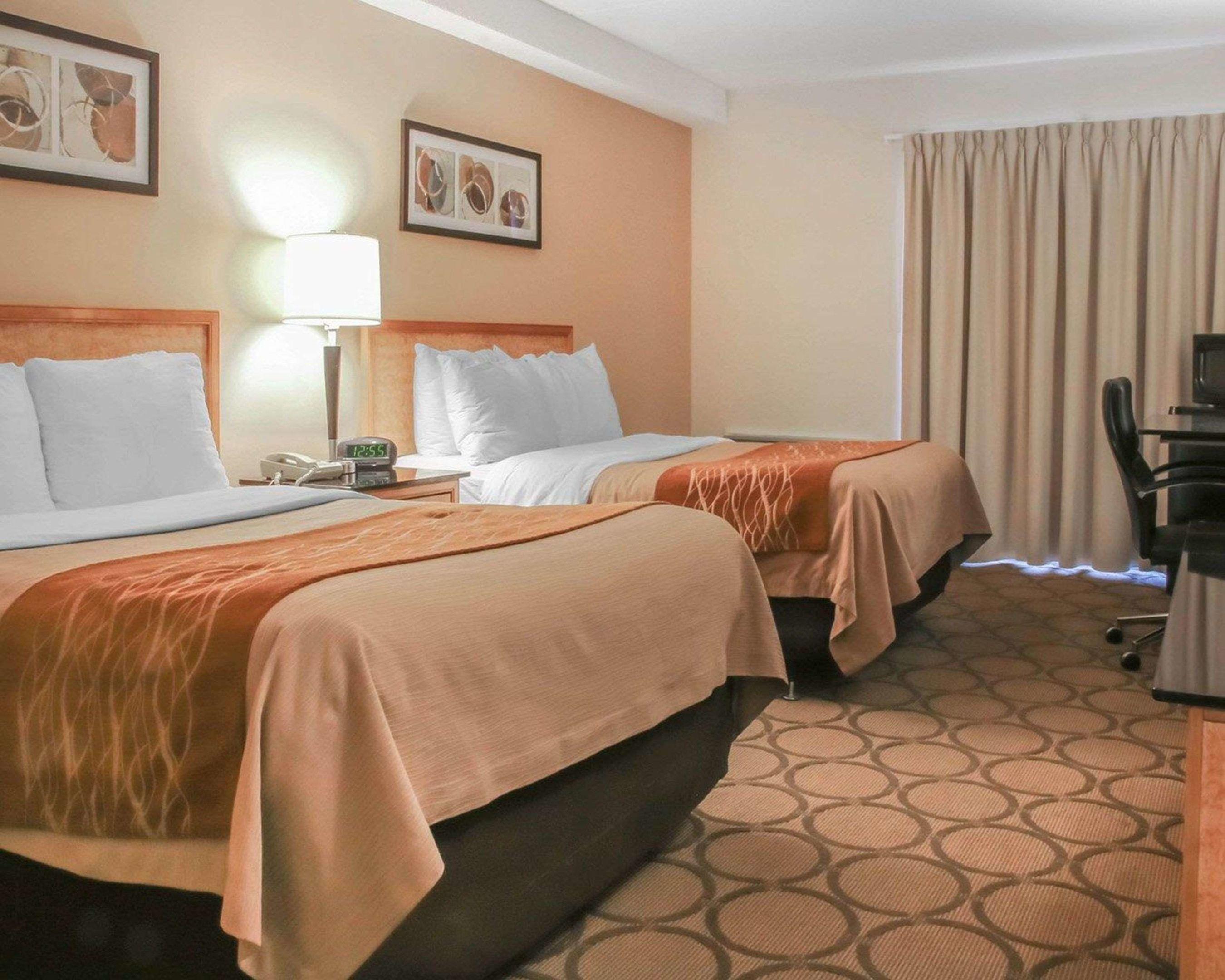 Comfort Inn South — photo 4