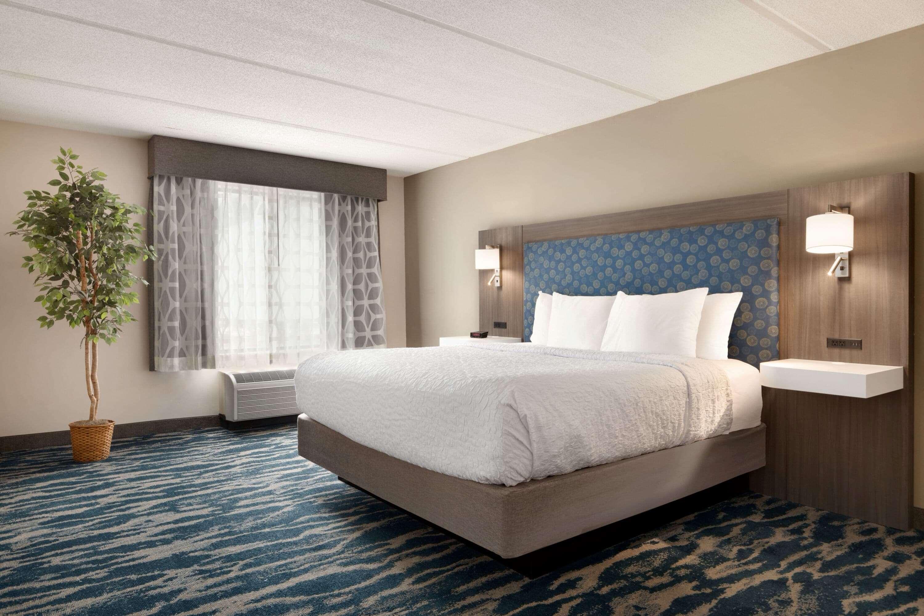 Wingate by Wyndham Greenville — photo 4