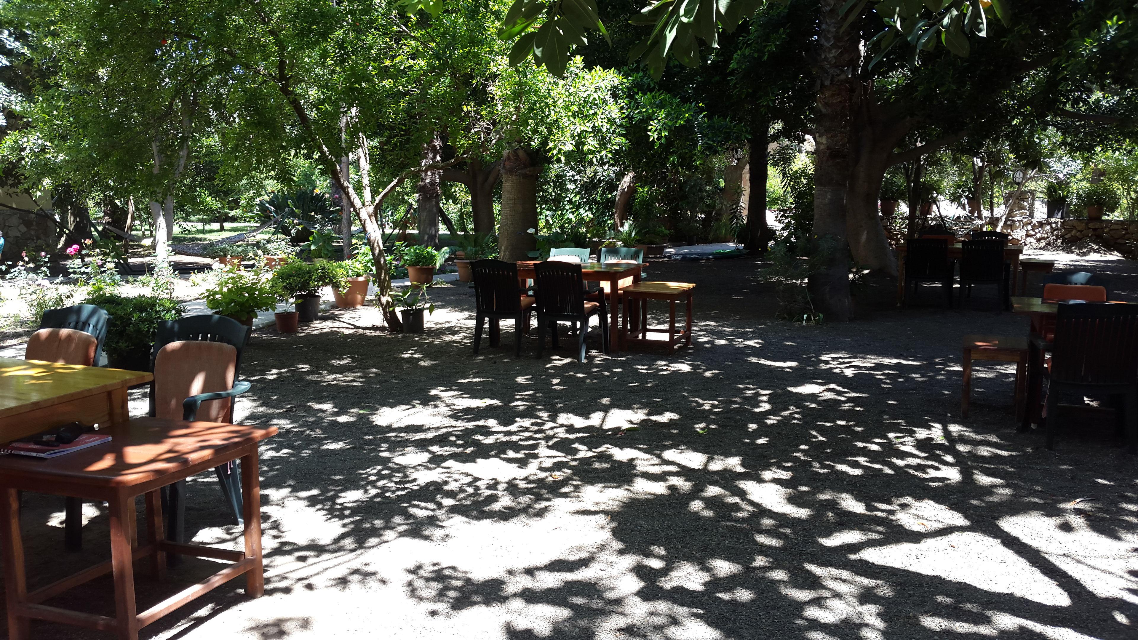 Cirali Hotel — photo 5