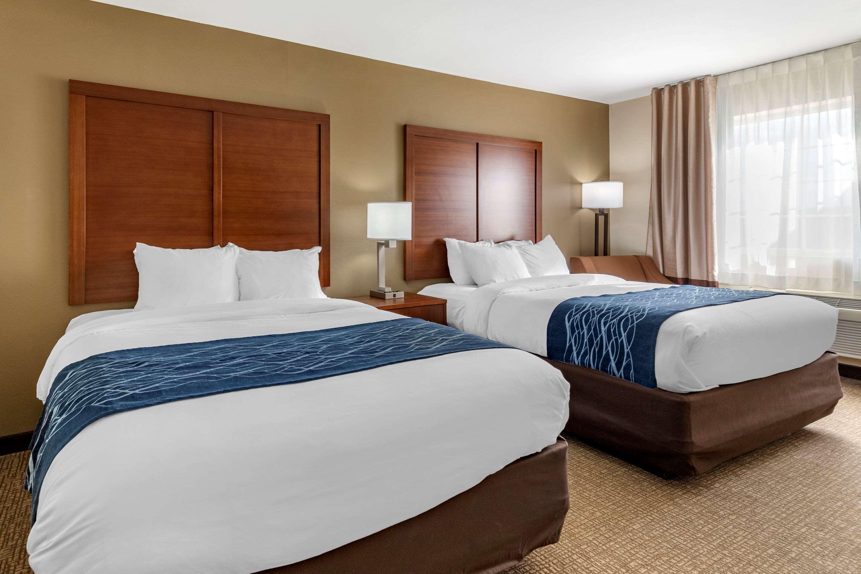 Comfort Inn & Suites Texas Hill Country — photo 5