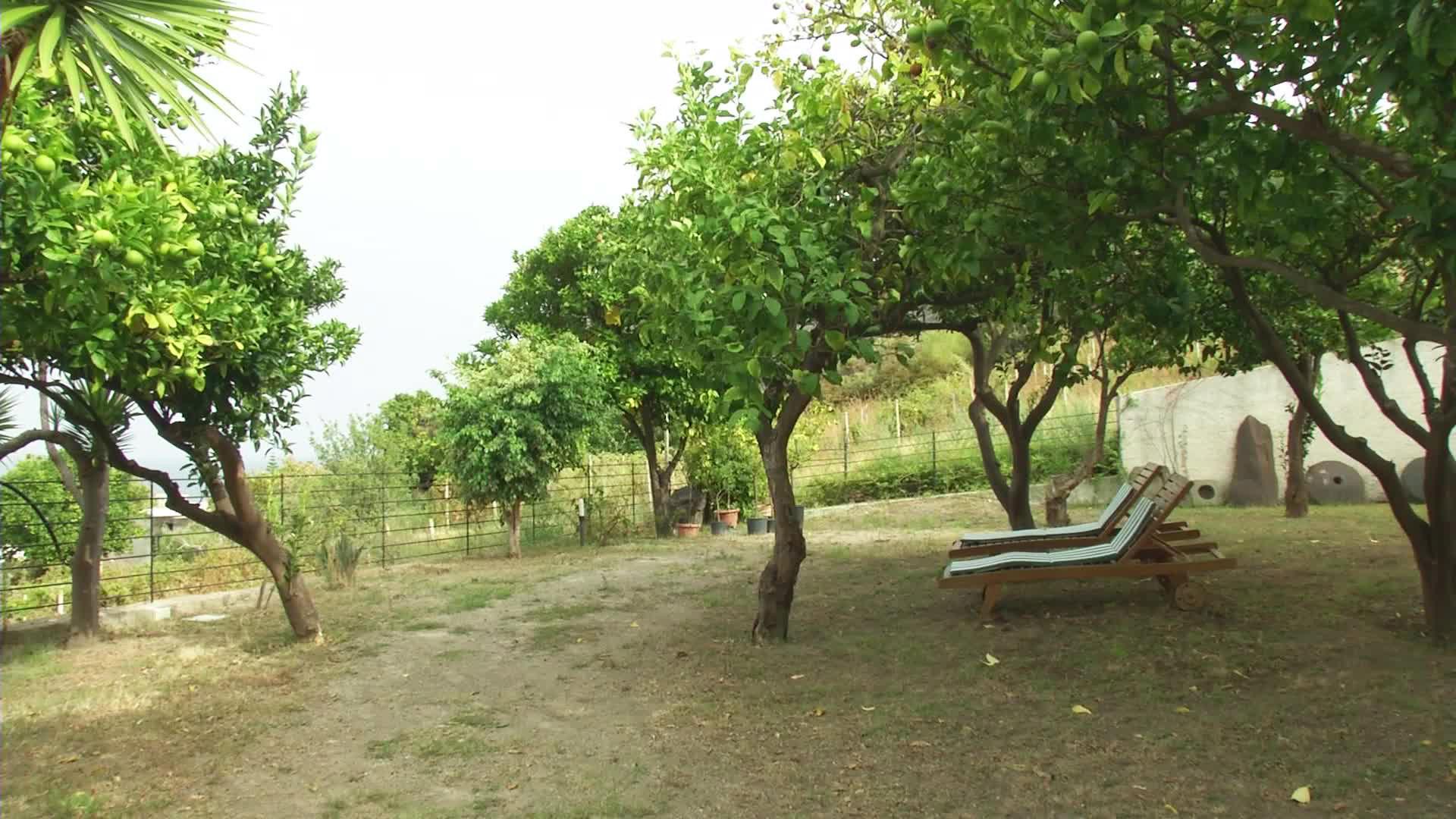 La Zagara — photo 3