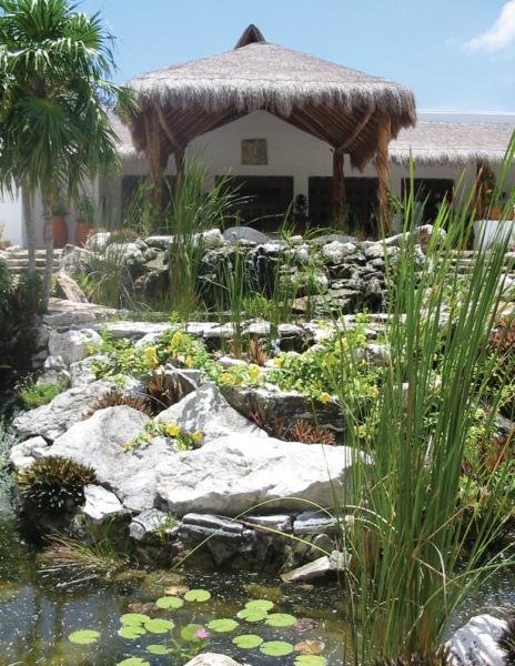 Desire Riviera Maya Pearl Resort — photo 4