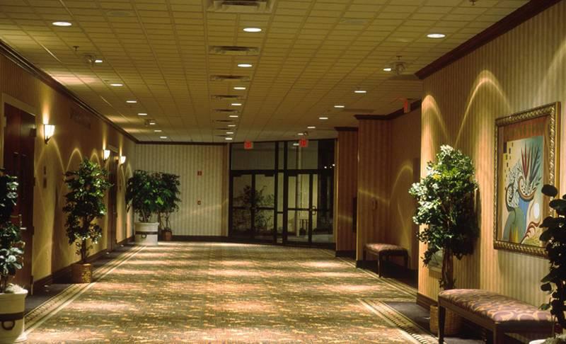 Sheraton Lake Buena Vista Resort — photo 4