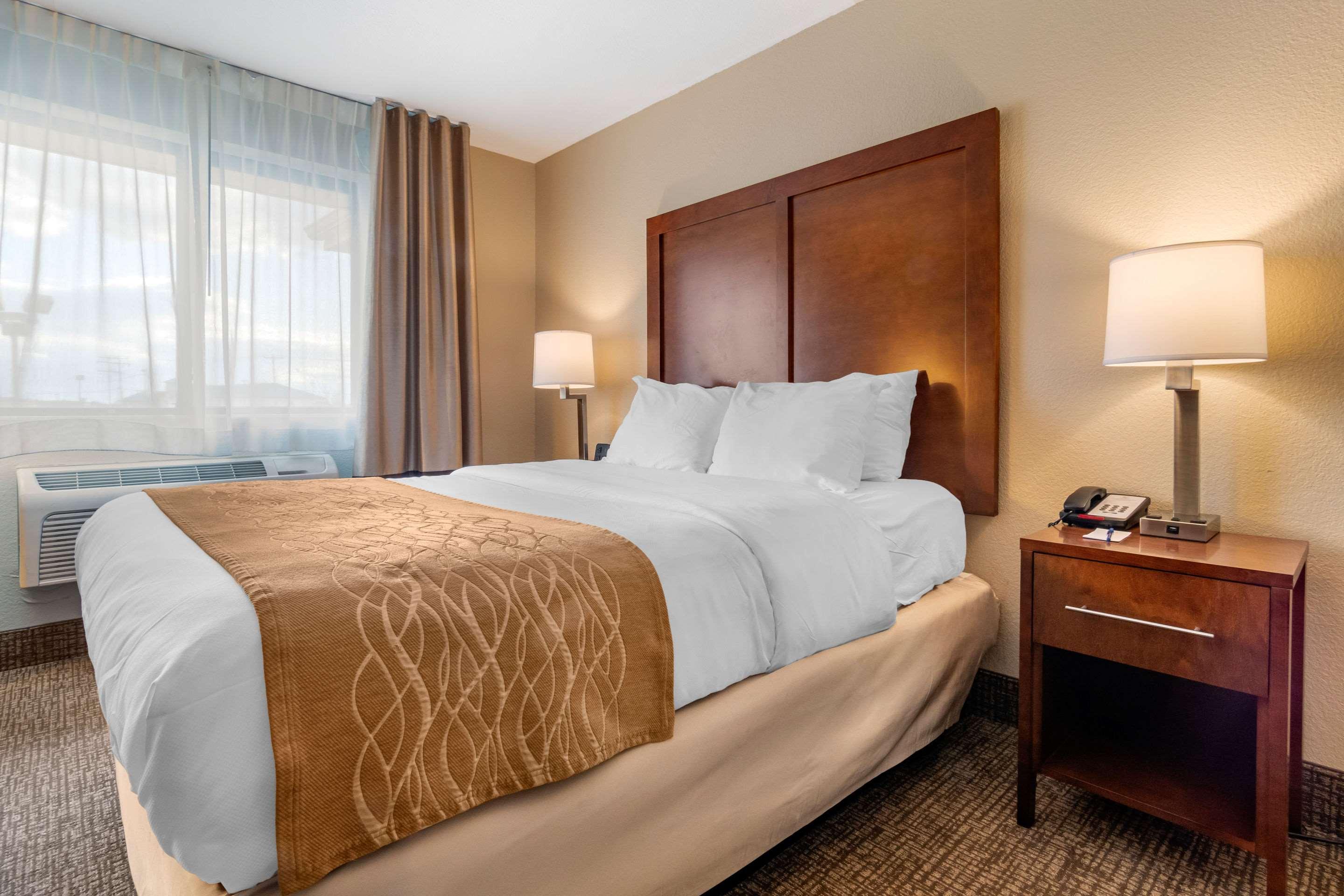 Comfort Inn & Suites — photo 3