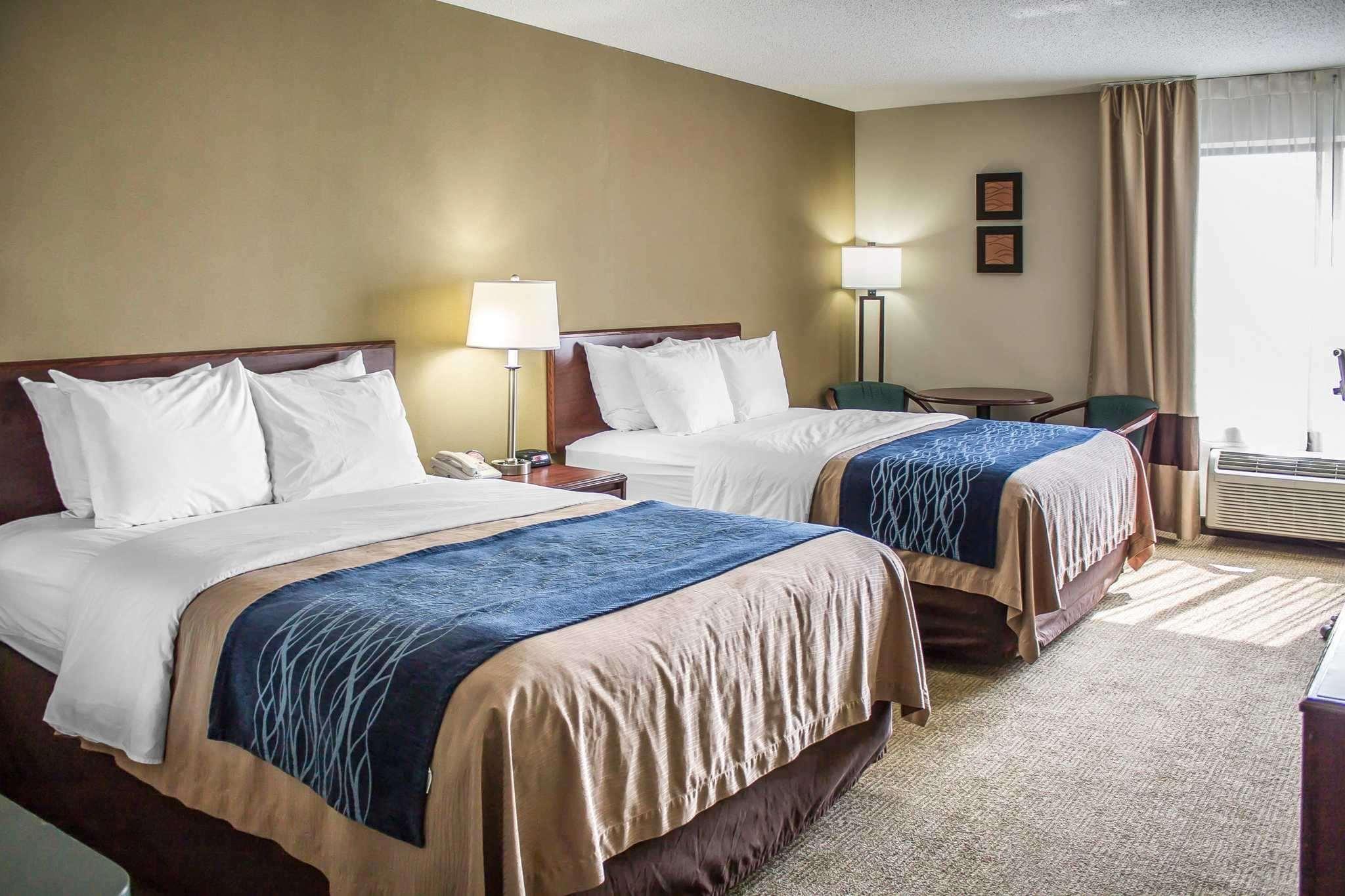 Comfort Inn Cambridge — photo 5