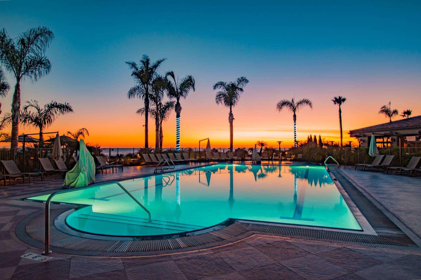 Dolphin Bay Resort & Spa — photo 4