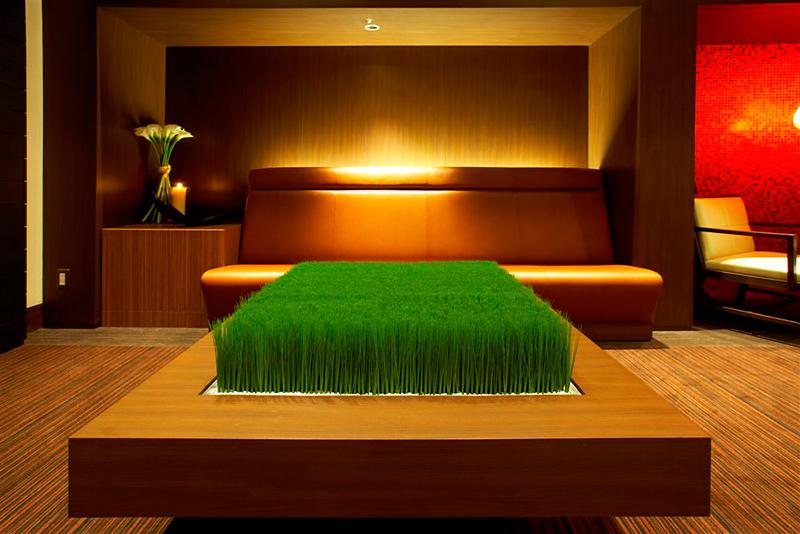 The B Akasaka Hotel — photo 5