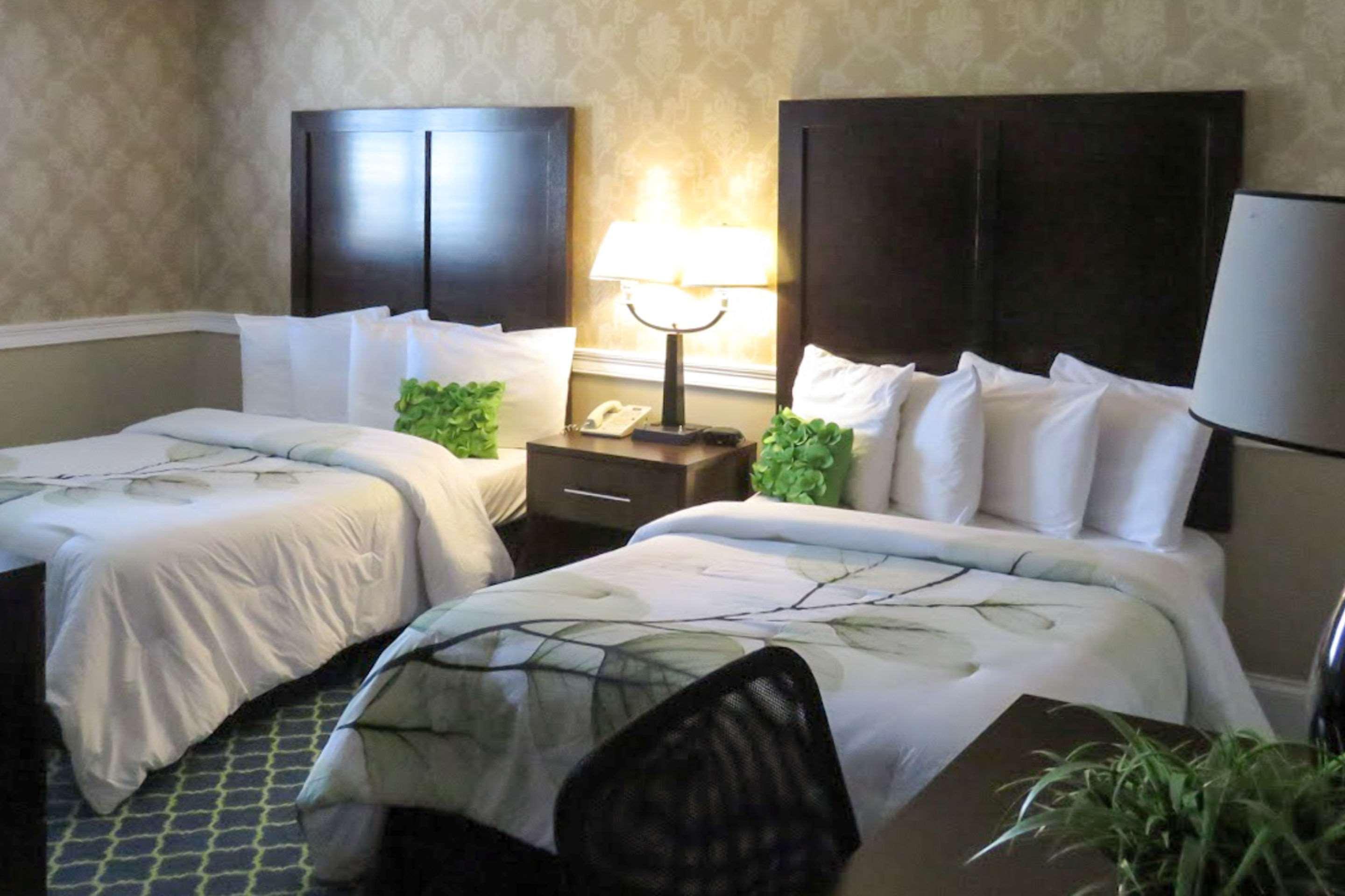Rodeway Inn Logan International Airport — photo 4