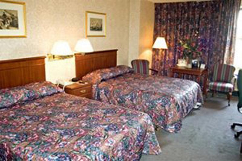 City View Inn — photo 5