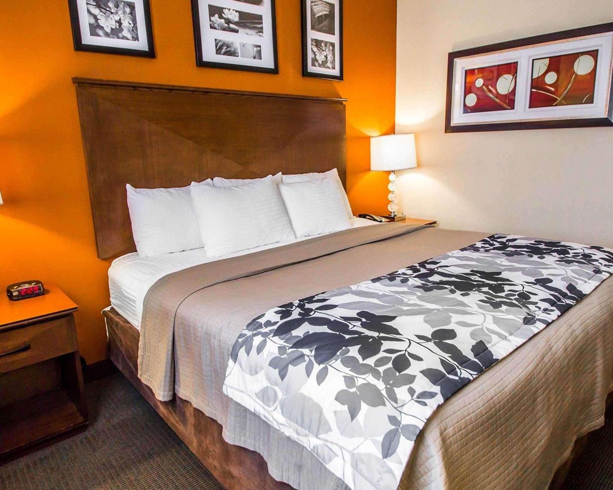 Sleep Inn — photo 5