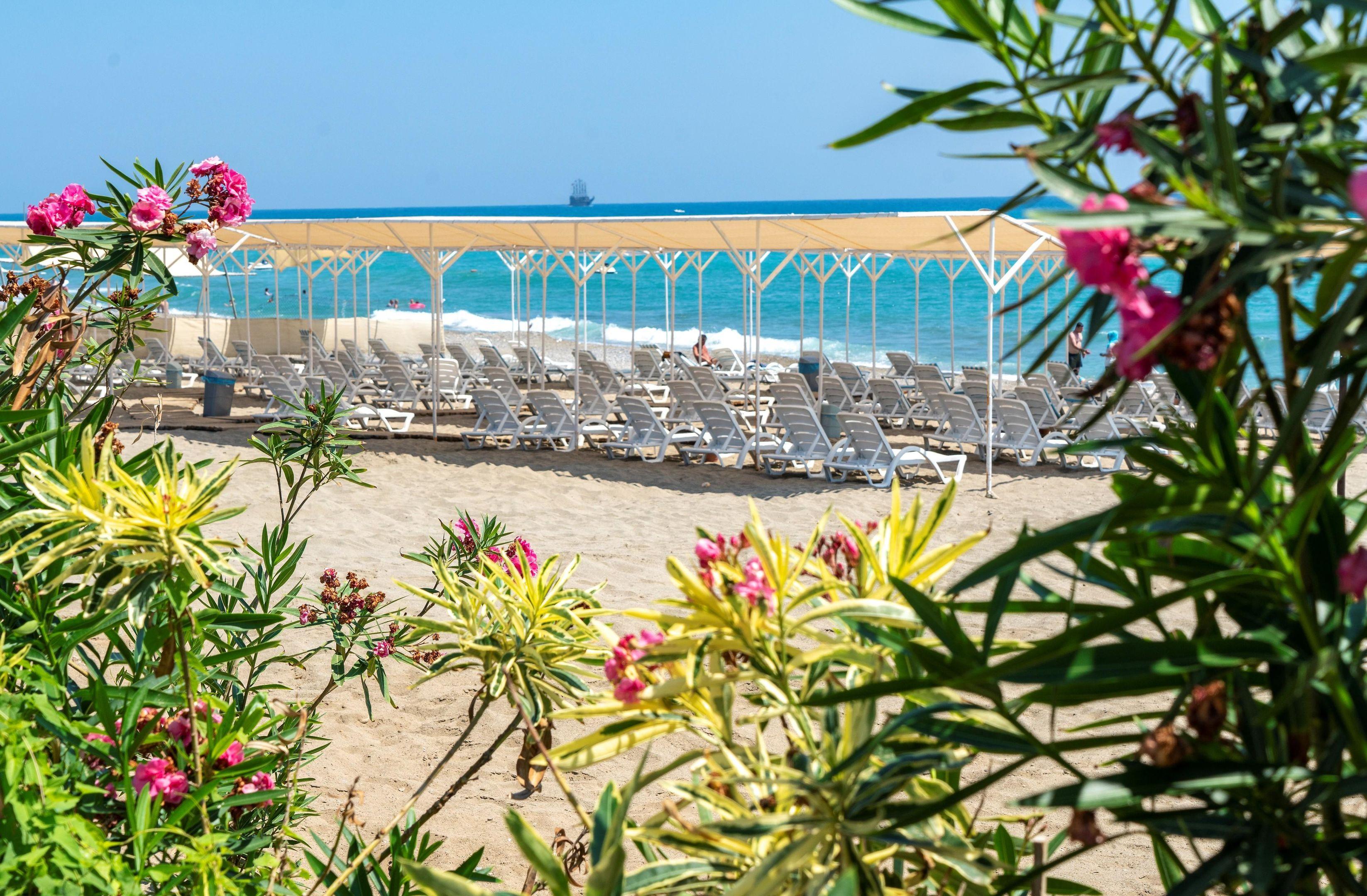 Atlas Beach Hotel & Spa — photo 3