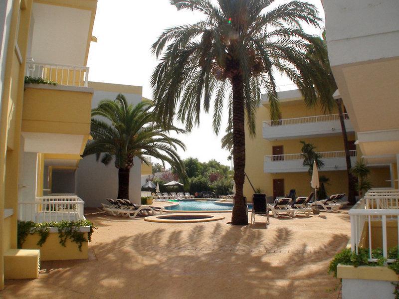 Palm Garden — photo 5