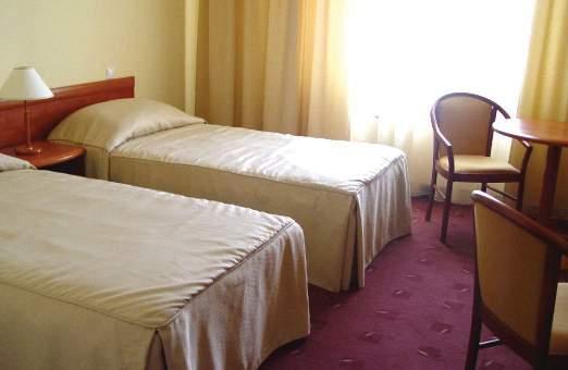 Mercure Sibiu Airport — photo 3