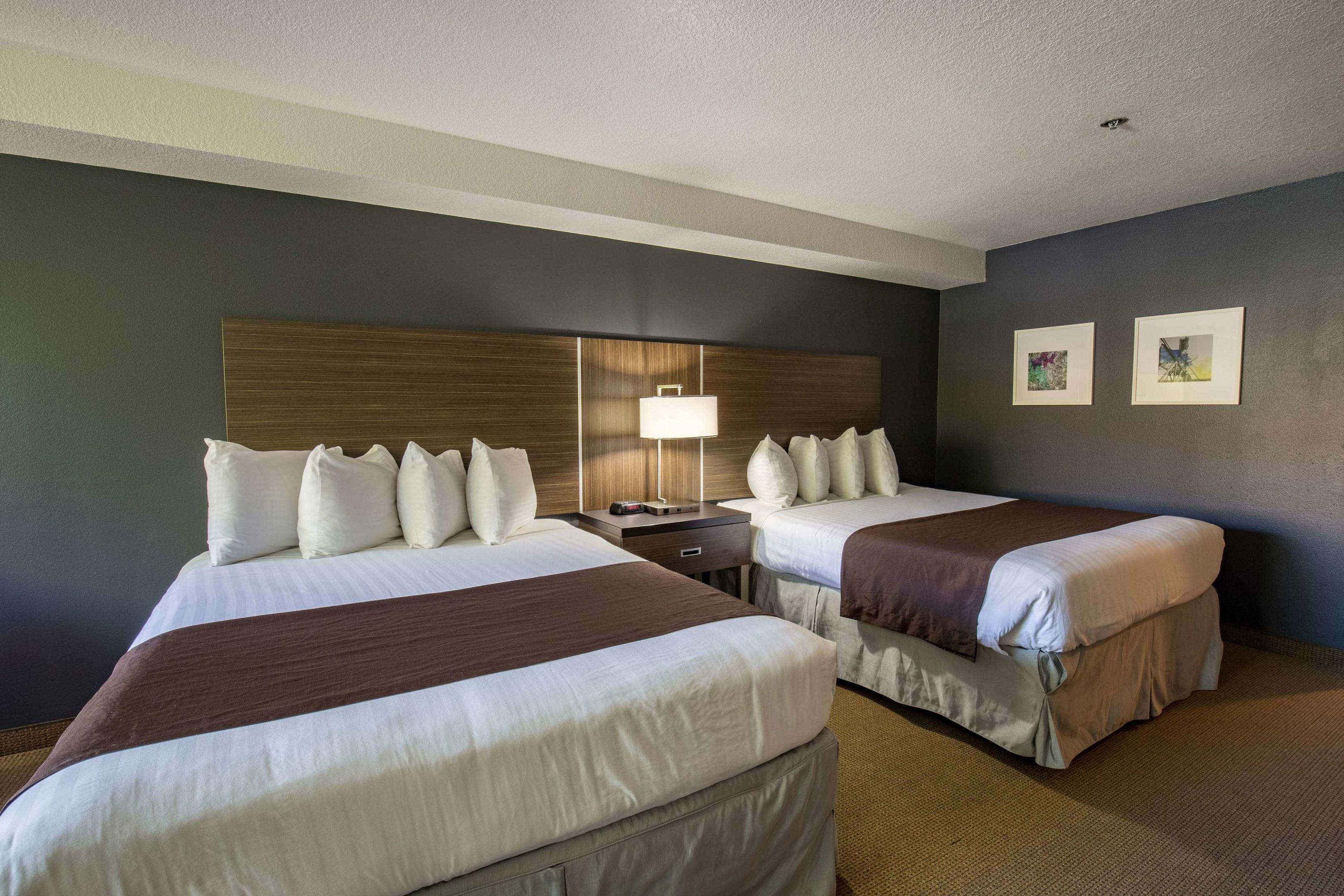 Best Western Inn at the Meadows — photo 4