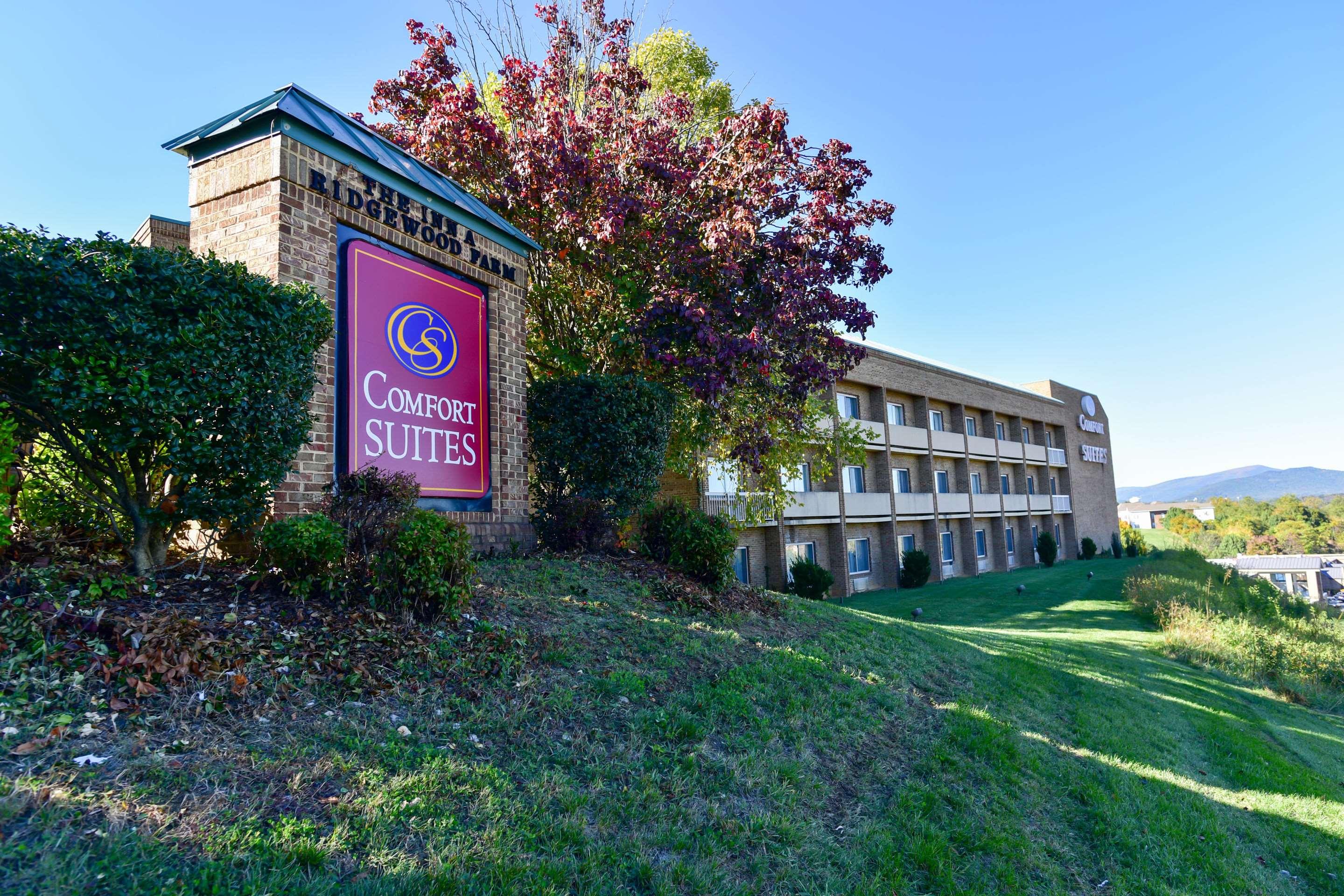 Comfort Suites Inn At Ridgewood Farm — photo 4