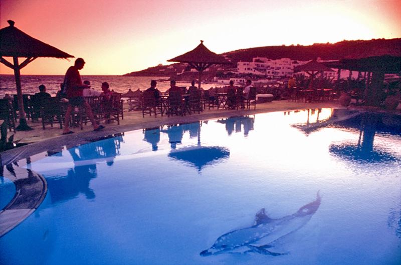 Mykonos Palace Beach Hotel — photo 4