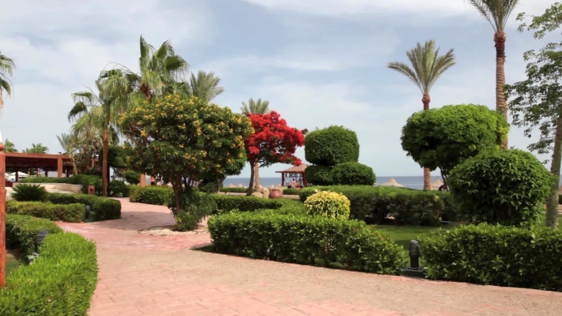 Sunrise Remal Beach — photo 4