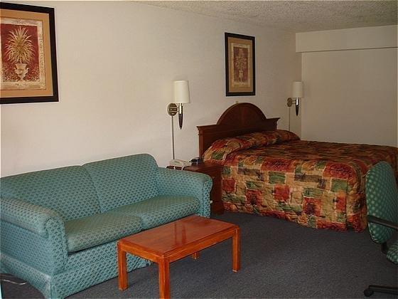 Bella Oasis — photo 4