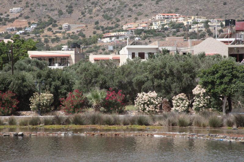 Elounda Olive Garden Studios — photo 5