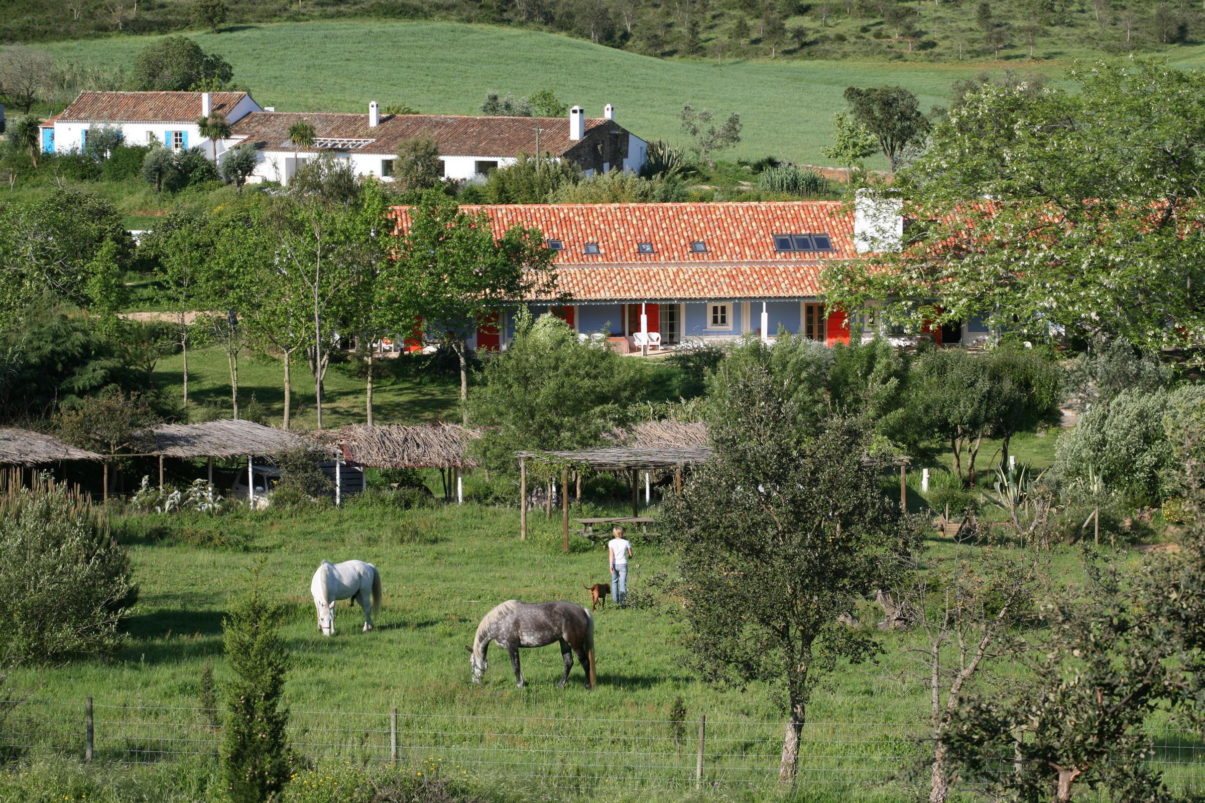 Herdade da Matinha — photo 5