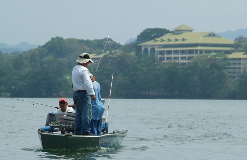 Gamboa Rainforest Resort — photo 3