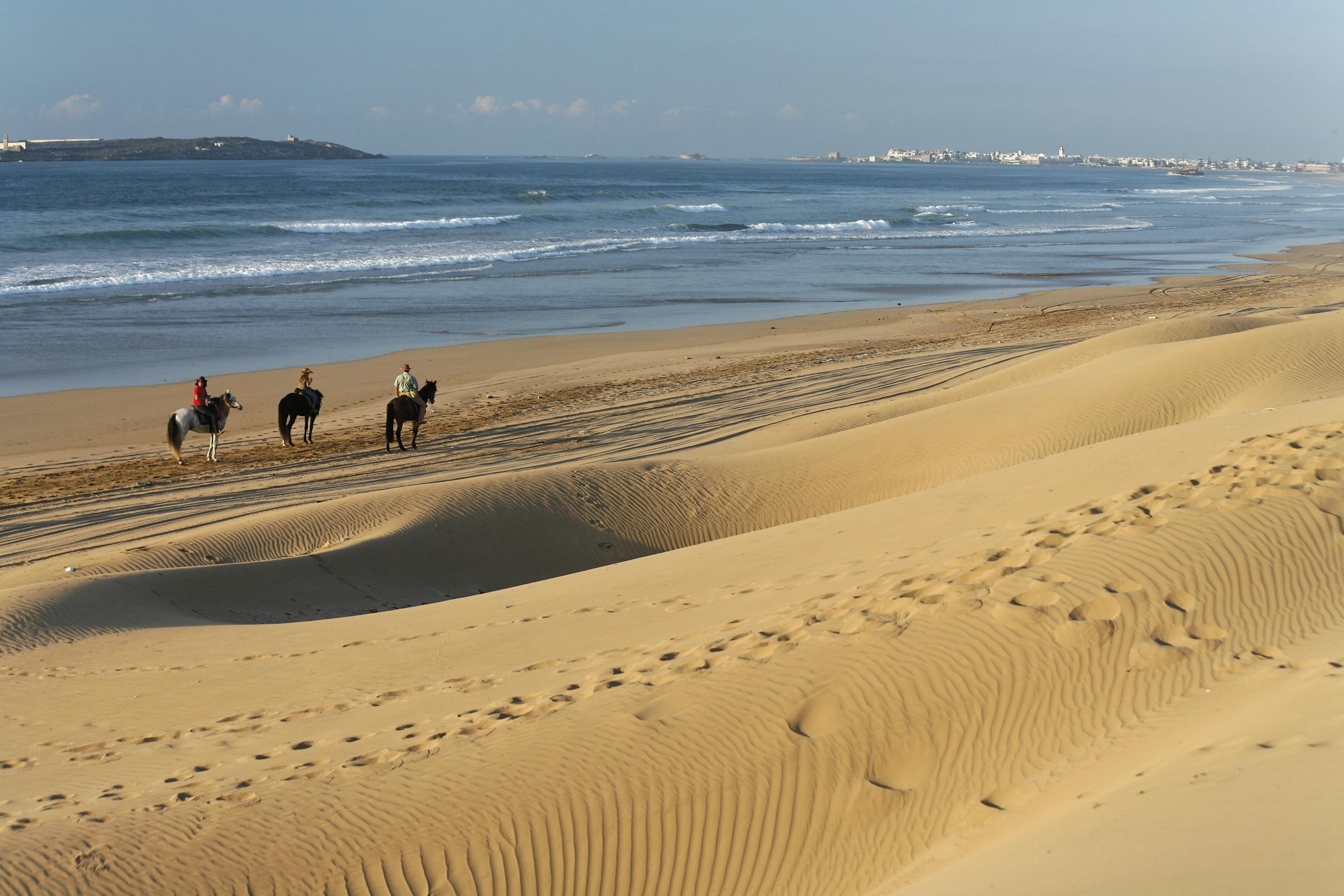 Sofitel Essaouira Mogador Golf & Spa — photo 5
