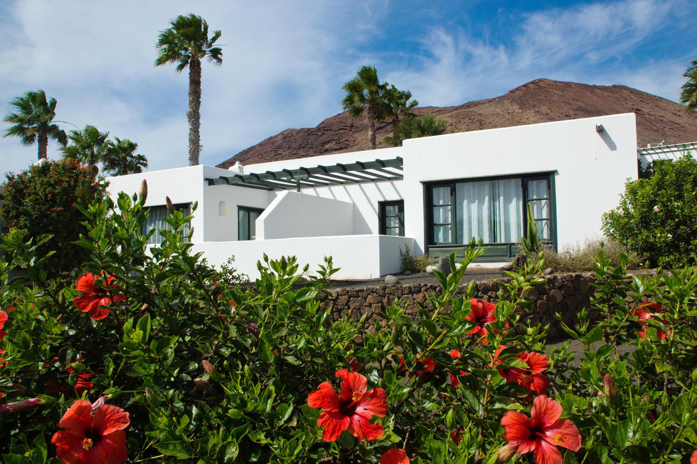 Palmeras Garden — photo 5