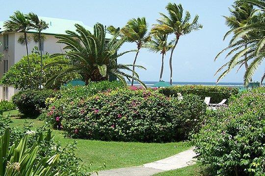 Colony Cove Beach  Resort — photo 4