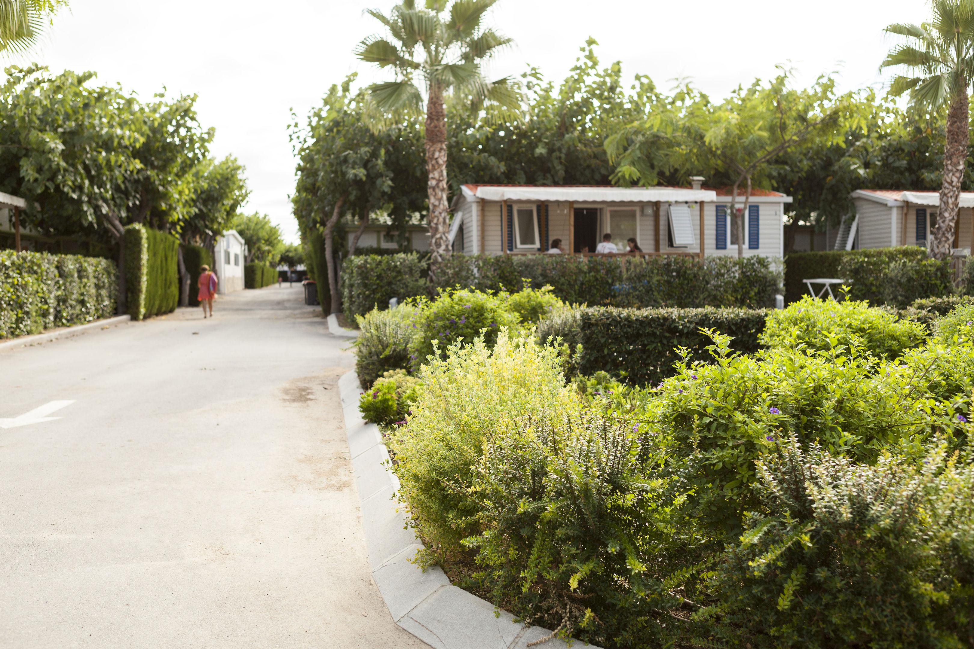 Playa Cambrils Camping — photo 4