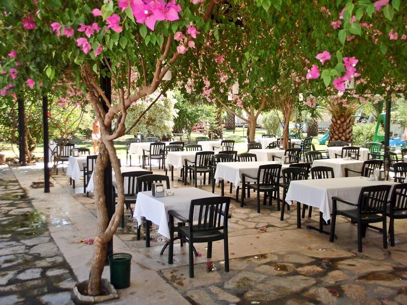 Club Alla Turca — photo 4