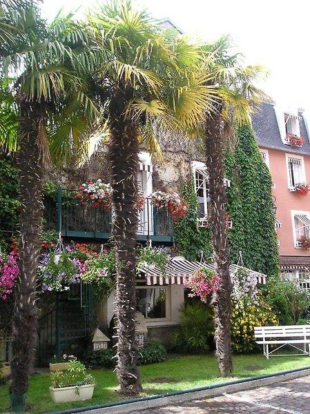 Le Lion d'Or — photo 4