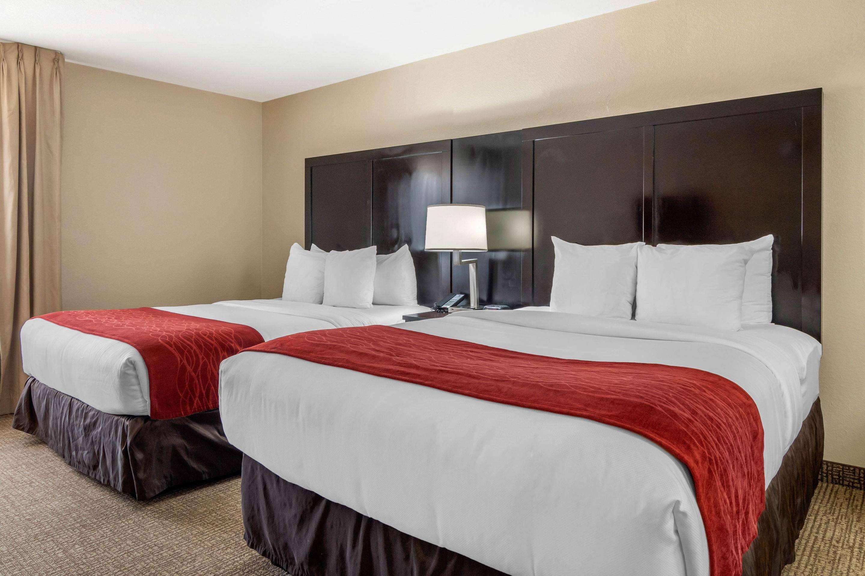 Comfort Inn & Suites Galleria — photo 5