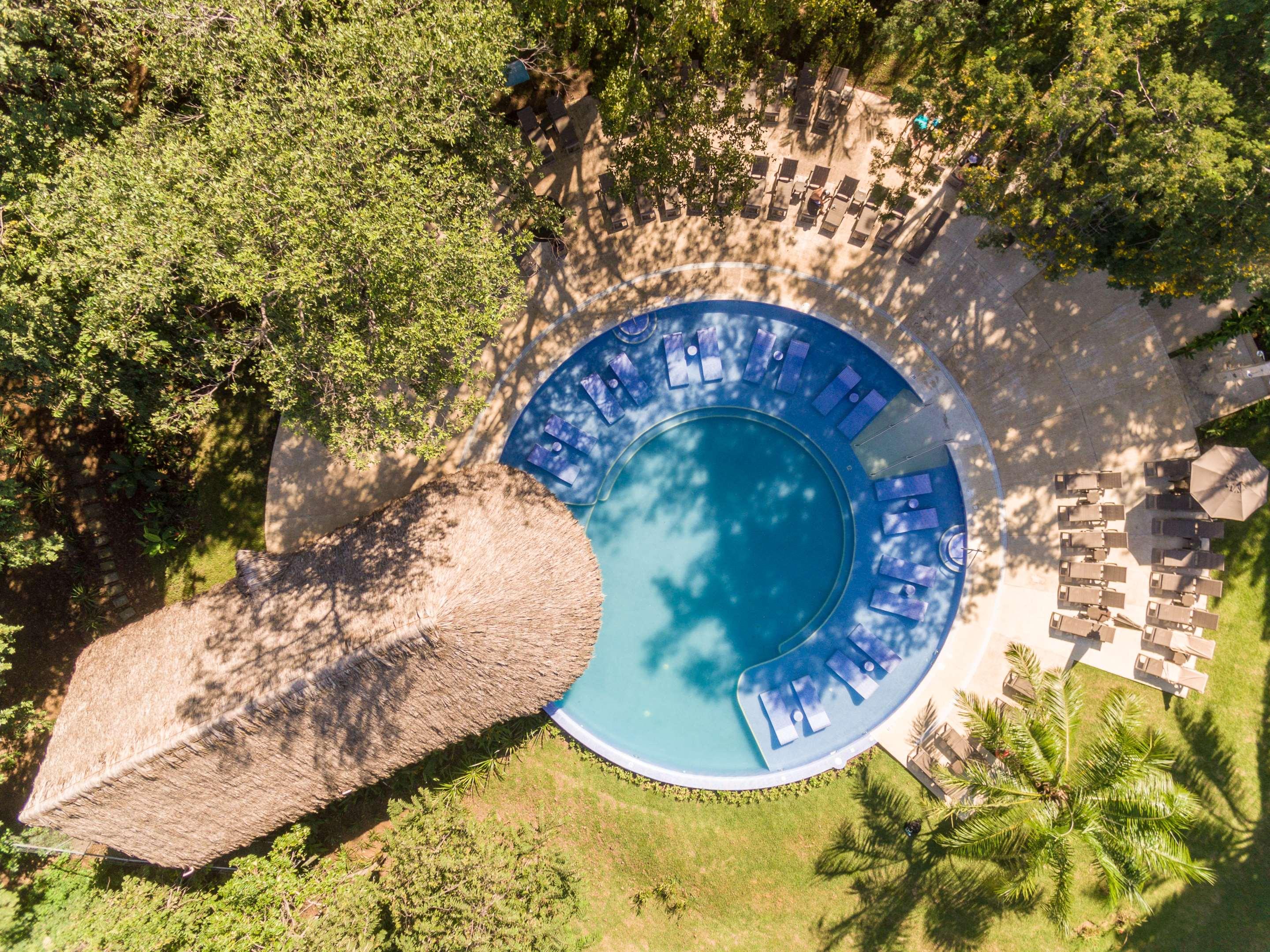 Occidental Papagayo — photo 1