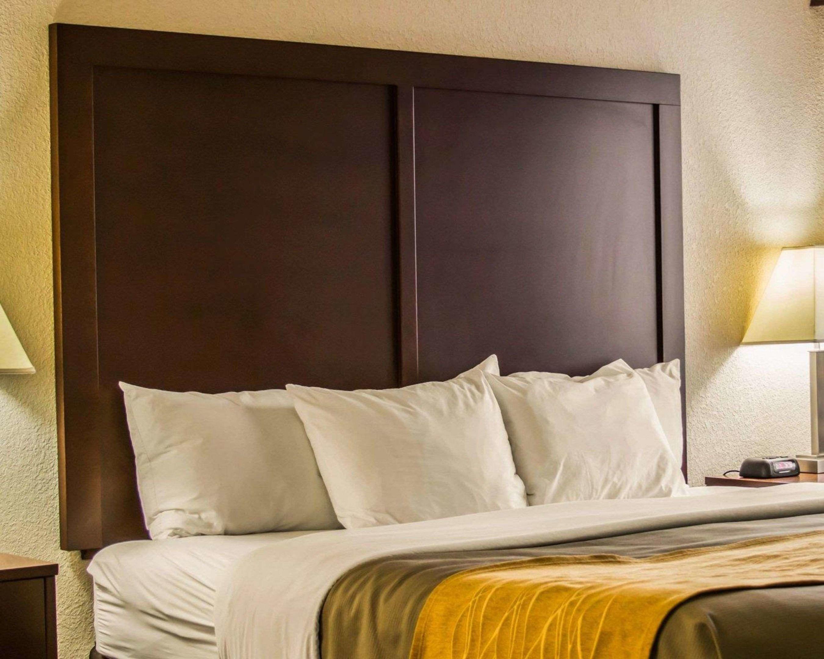 Comfort Inn Birch Run — photo 5