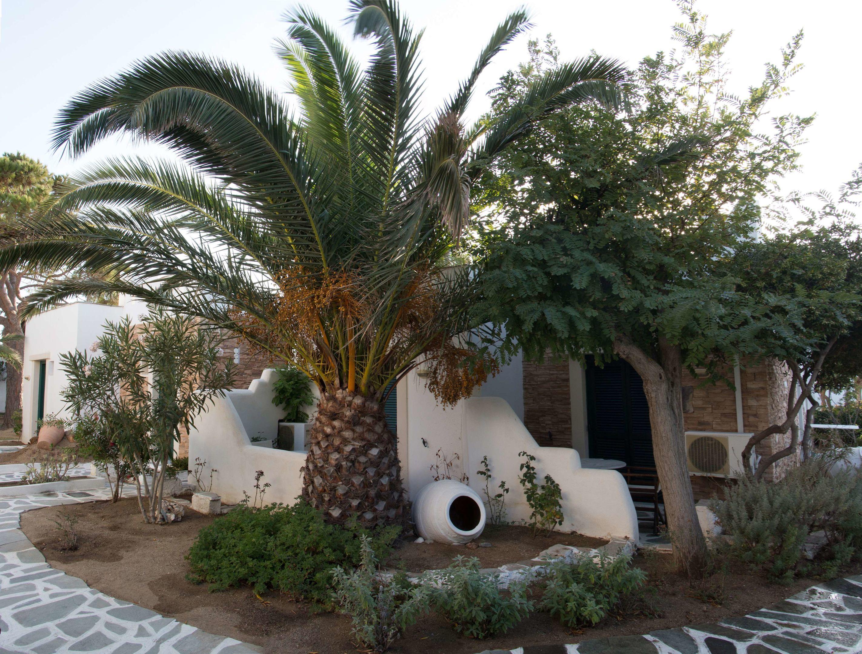 Naxos Beach Hotel — photo 5