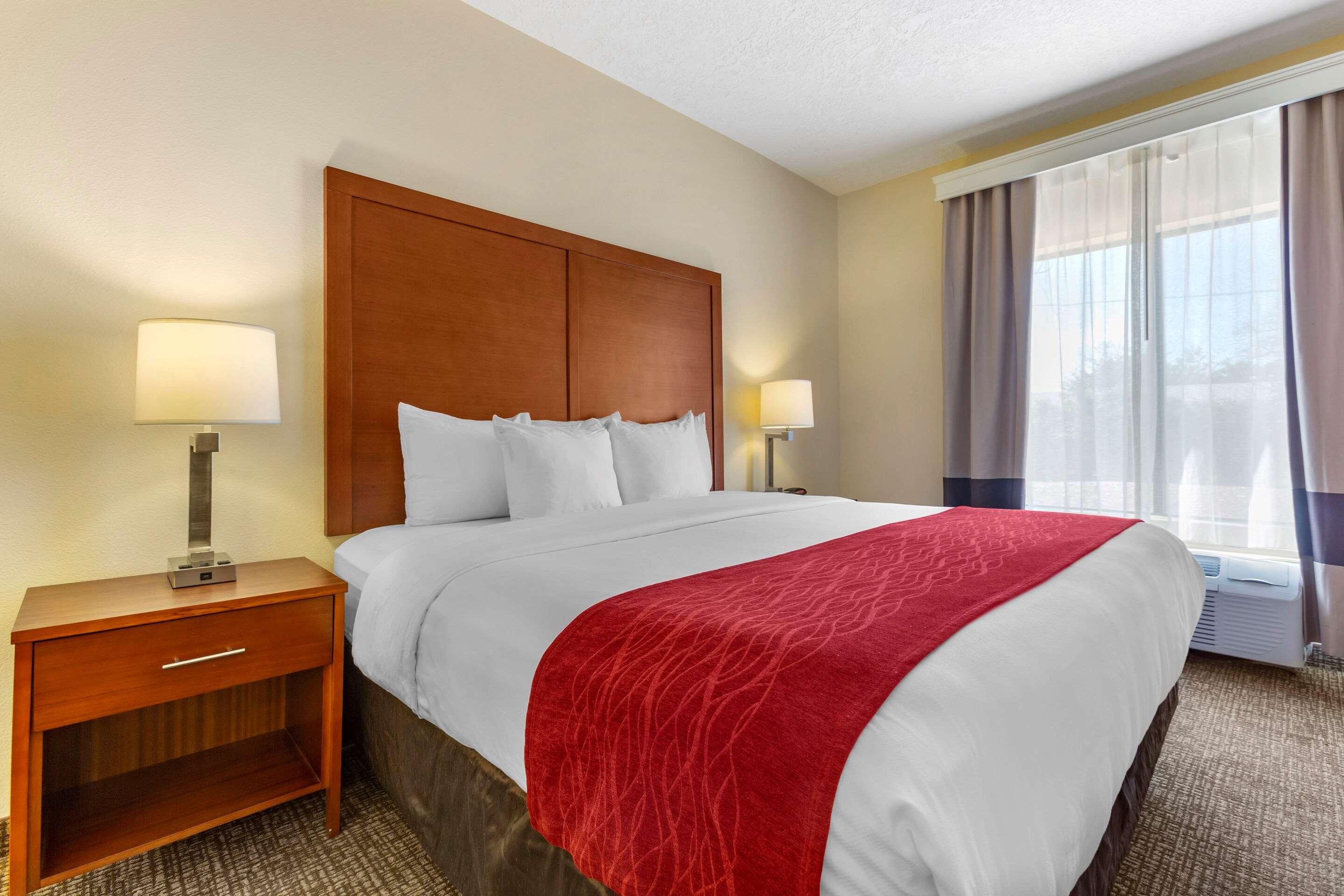 Comfort Inn & Suites — photo 5