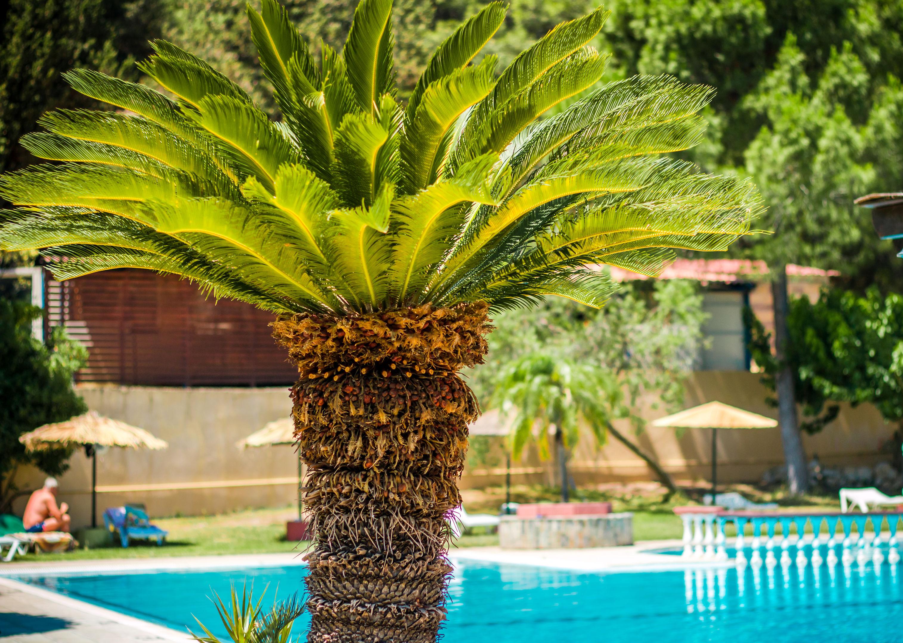Achousa Hotel — photo 4