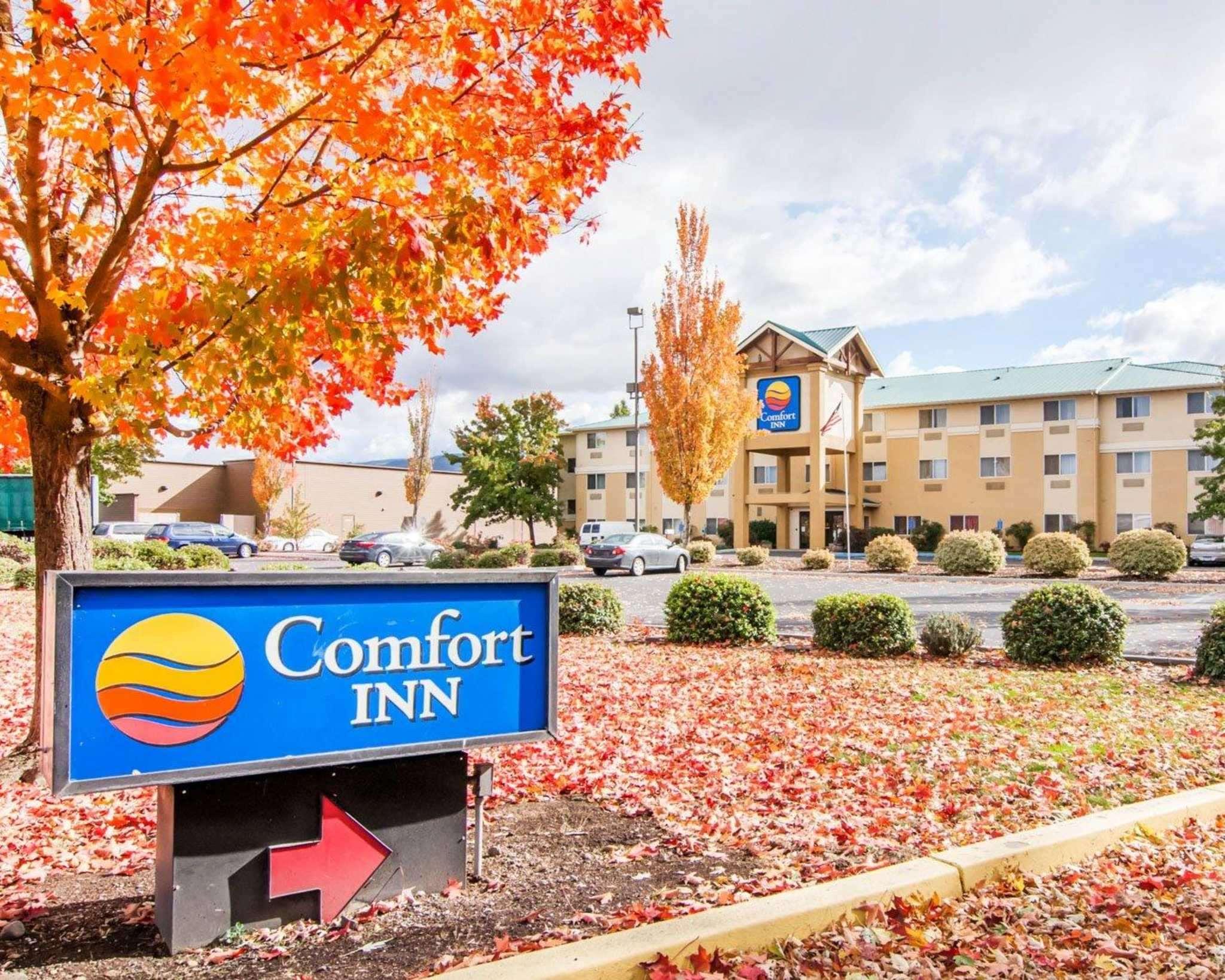 Comfort Inn South — photo 3