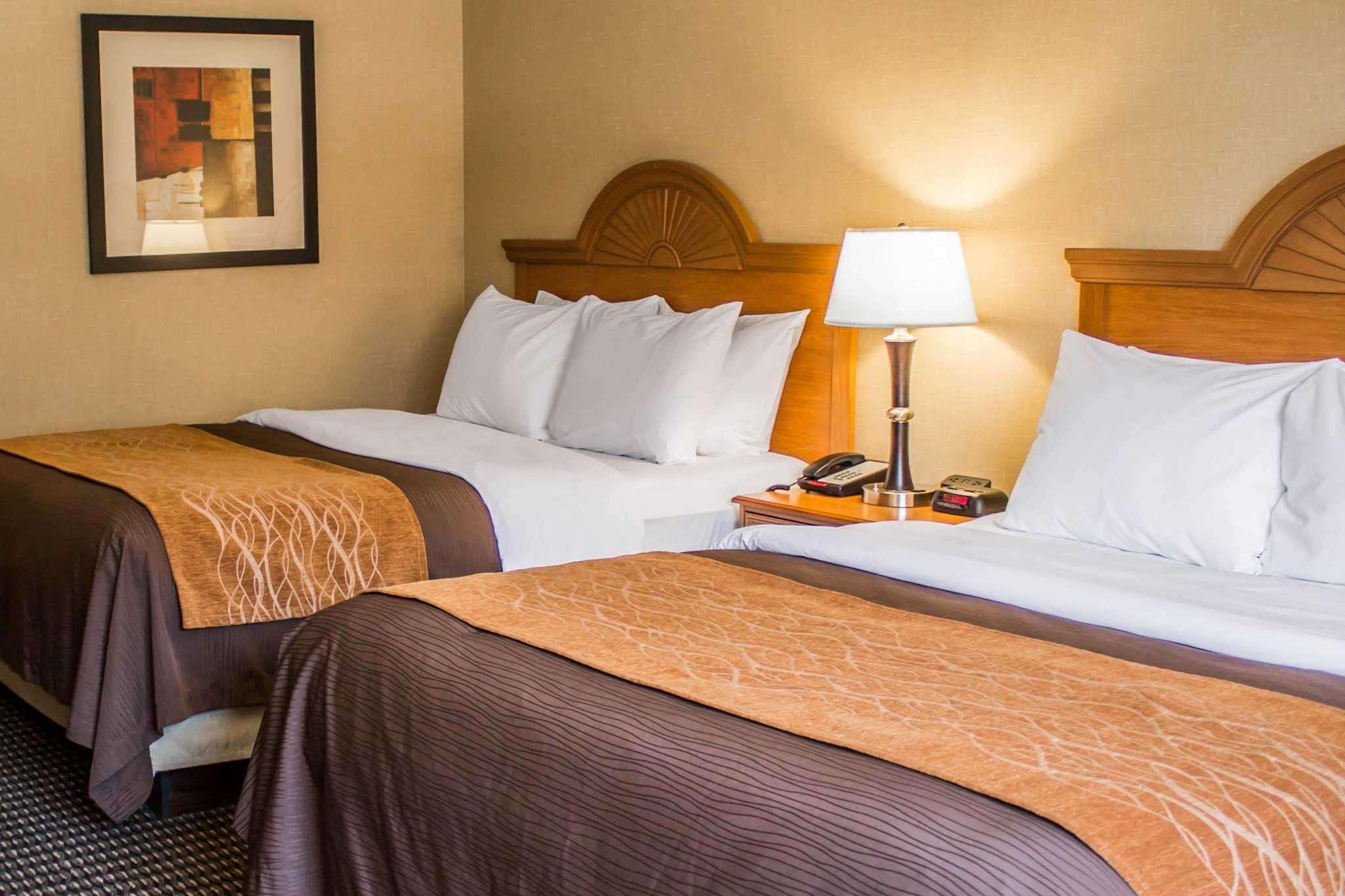 Comfort Inn East — photo 4
