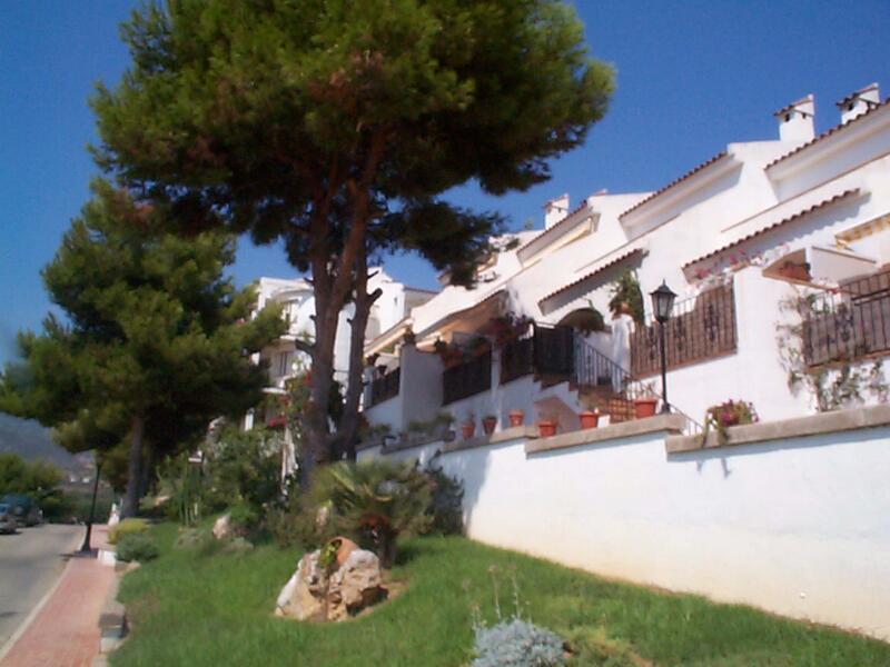 Finca Del Moro — photo 5