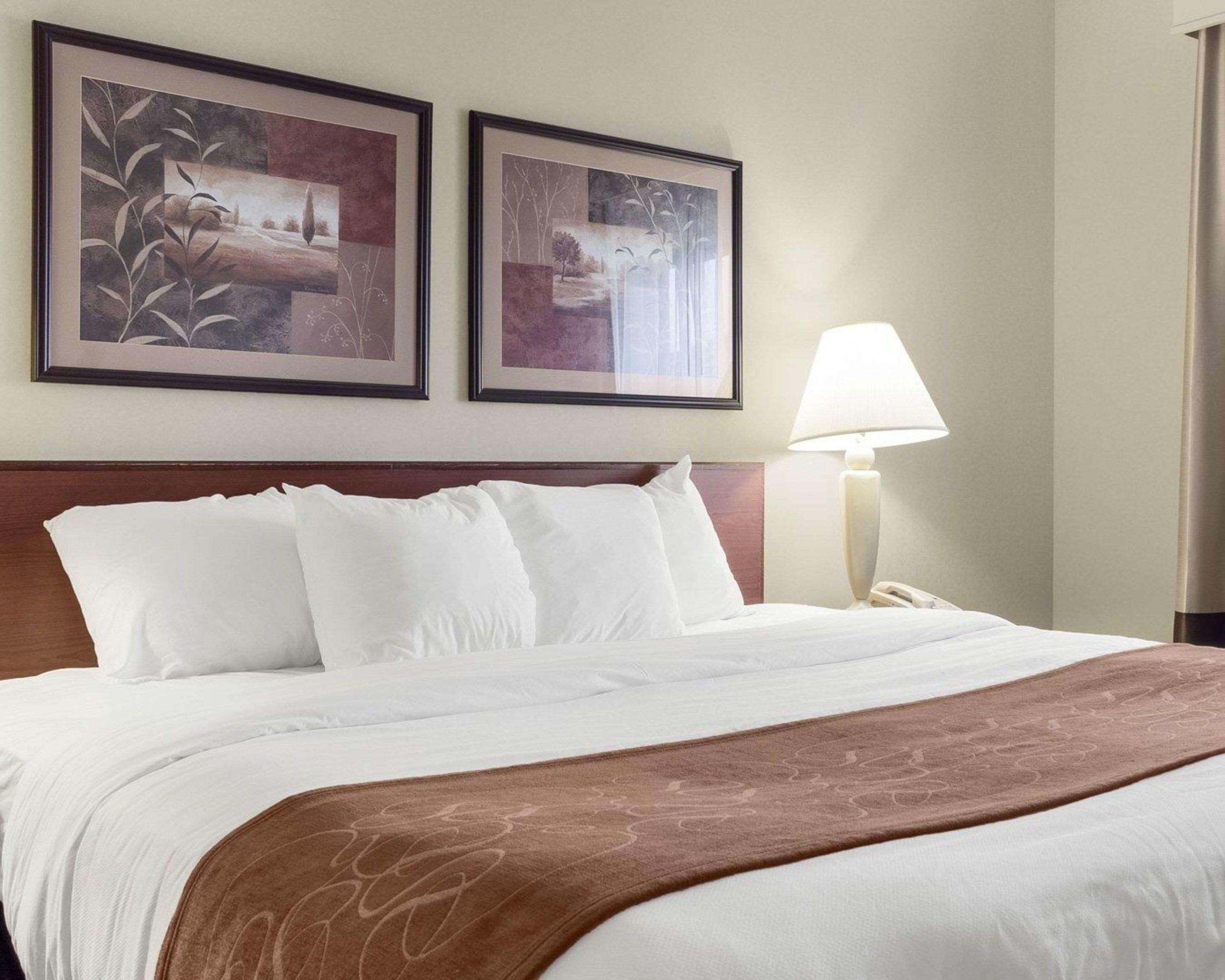 Comfort Suites — photo 4