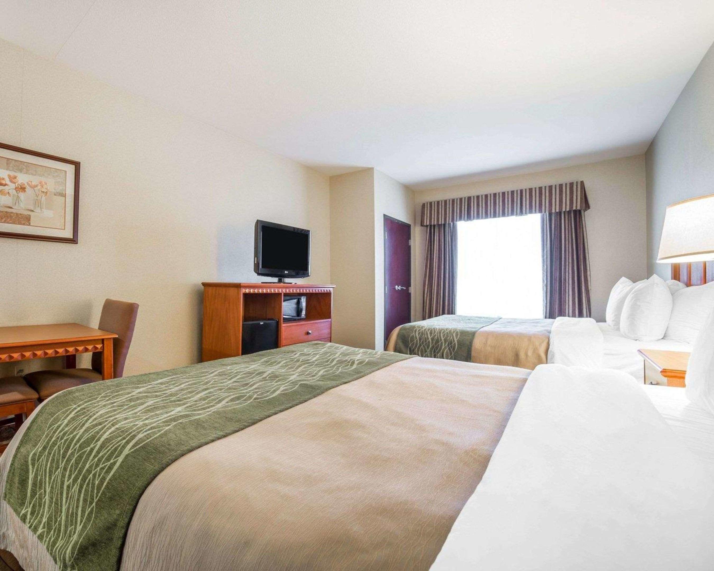 Comfort Inn & Suites Las Vegas - Nellis — photo 4