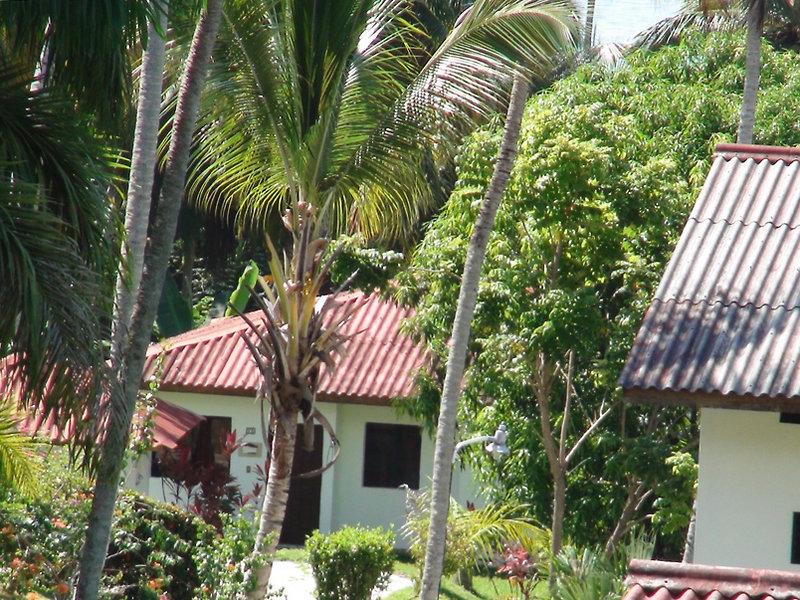 Ferrer Samaná Nature & Beach Resort — photo 4