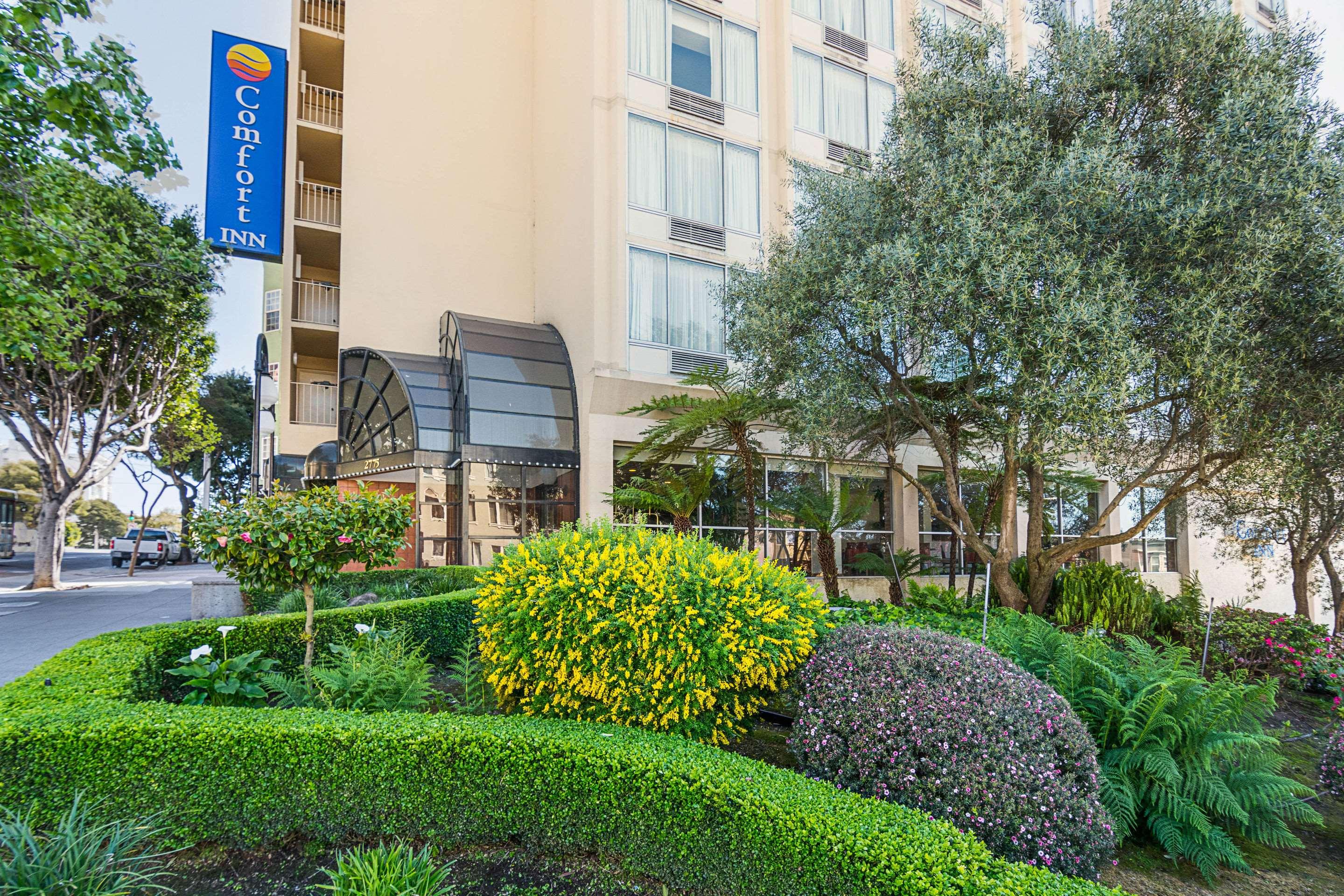 Comfort Inn by the Bay — photo 3